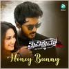 About Honey Bunny From "Trivikrama" Song