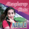 About Mengharap Cinta Song