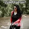 About Can Misali Song