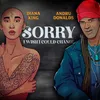 About Sorry I Wish I Could Change Song