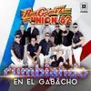 About Cumbiando en el Gabacho Song