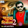 About Pagal Bhail Diwana 2 Song