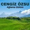 Gelme Kardeşim