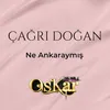 About Ne Ankaraymış Song