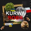 About KURWA BOBR Song