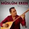 About Gizli Türkü Song