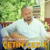 About Dut Ağacı / Karanfilin Moruna Song