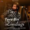 About Tere Bin Zindagi Song