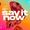 About Say It Now Song