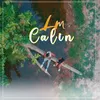 About Calin Song