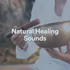 Nature Healing Sounds, Pt. 9