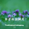 About 外婆的澎湖湾 Song