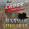 About Texanito Nungaray Song