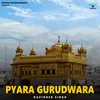 About Pyara Gurudwara Song