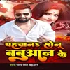 About Pahchan Sonu Babuwan Ke Song