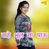 About Wahe Bhul Na Paau Song