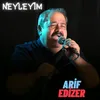 About Neyleyim Song