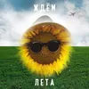 About Ждем лета Song