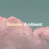 Wide-Awake Ambient