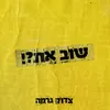 About שוב את?! Song