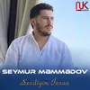 About Sevdiyim İnsan Song