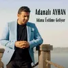 About Adana Üstüme Geliyor Song