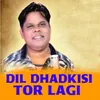 About Dil Dhadkisi Tor Lagi Song