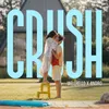 About Crush Song