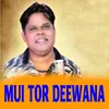 About Mui Tor Deewana Song