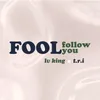 About Fool Follow You Song