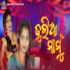 About Dhulia Mamu Song