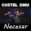 About Necesar Live Song