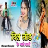 About Dil Tod ke Jane Vali Song