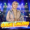 About Lilakne Lungamu Song