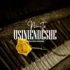 About Usiniendeshe Song