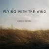 Flying with the wind