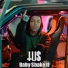 About Baby Shake It Song