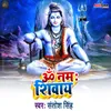 Om Namah Shivay