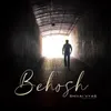 About Behosh Song