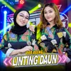 About Linting Daun Song