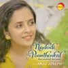 About Nadodi Poonthinkal Recreated Version Song