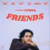 About Friends Song