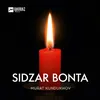 About Sidzar bonta Song
