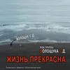 Мы пойдём своим путём