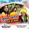About Julum Kari Dare Wo Nayana Chhattisgarhi Geet Song
