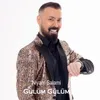 About Gulum Gulum Song