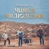 About La Fiebre Michoacana Song