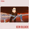 About Kein Bleach Song