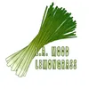 Lemongrass