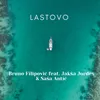 About Lastovo Song